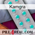 Kamgra 28